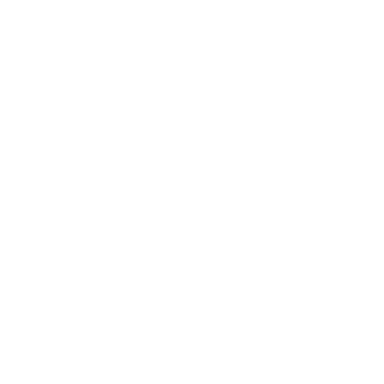 SICHERHEITSDIENST WEIL AM RHEIN